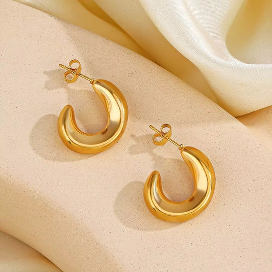 Golden Hoops Earrings